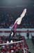 13dStan1D_03366