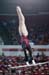 13dStan1D_03406